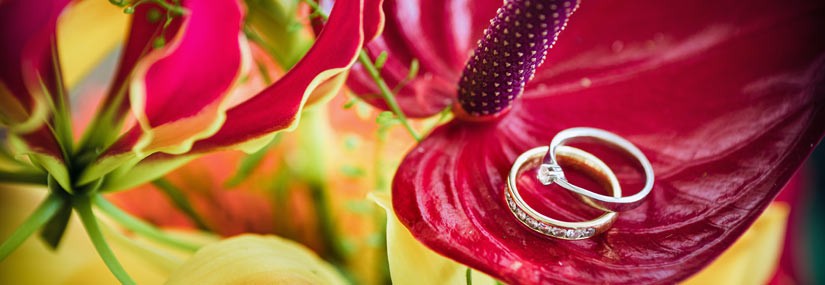 Hochzeitsfotograf Preise Beitrag 2 Header